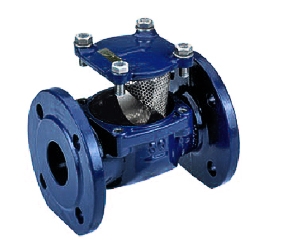 Water Meters Filters